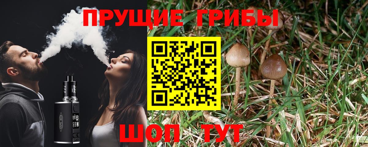 Красноармейск  Псилоцибиновые грибы мухоморы  закладки  Вход с VPN 